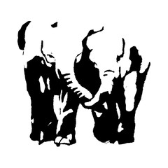 Elephants are a black silhouette