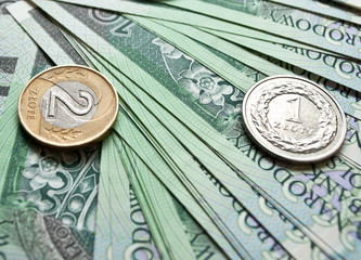 Polish zloty in paper and coins