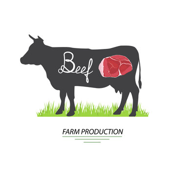 Illustration of cow meat. Beef farm production, vector. Can be used in your own advertisement purposes, products design and etc.