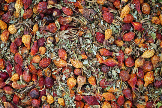 dried rosehips and leaves background