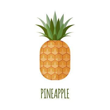 Pineapple in flat style.
