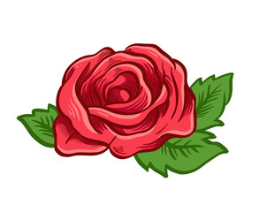 One red rose. Vector illustration