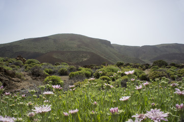 The canyon of the volcano Teide