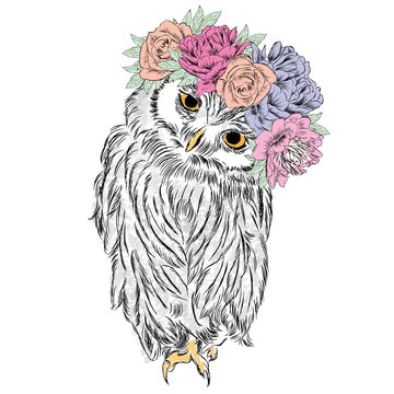 Cute owl in a wreath of flowers. Bird painted in the vector.