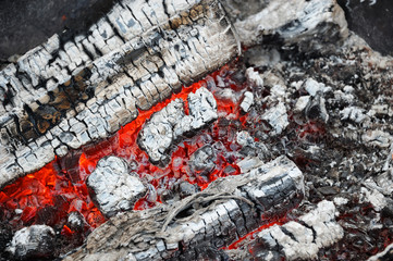 firewood ash after fire