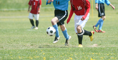 サッカー　フットボール