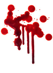Splattered blood stains on white background
