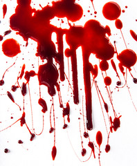 Splattered blood stains on white background