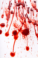 Splattered blood stains on white background