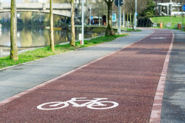 Bicycle lane in the park