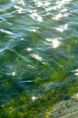 Natural background of transparent sea water.