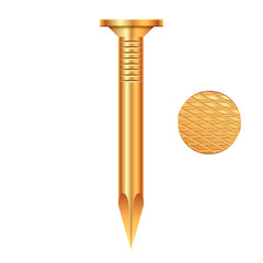 Realistic metallic nail isolated on white background. Vector ill