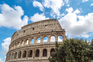 Fototapeta na wymiar Colosseum View with Trees