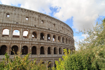 Fototapeta premium Colosseum View with Trees