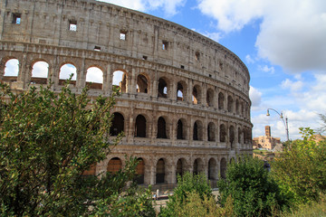 Fototapeta na wymiar Colosseum View with Trees