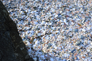 Clam beach at Peel, Isle of Man