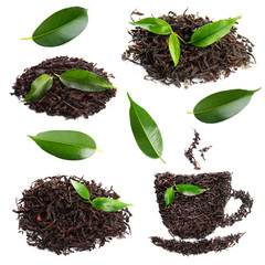 Set of dried tea with fresh green leaves, isolated on white