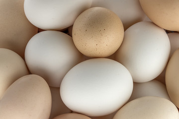 Small group of eggs