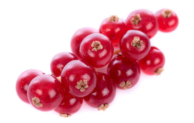 Fresh redcurrants closeup