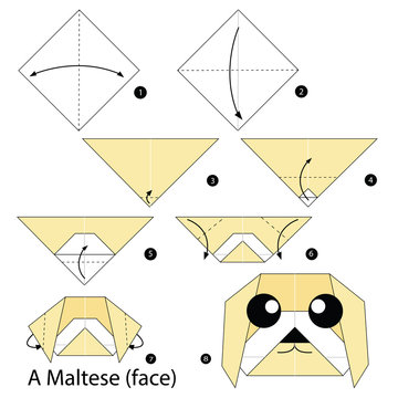 Step by step instructions how to make origami A Maltese (face).