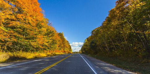 the view down a scenic country roadway in autumn landscape