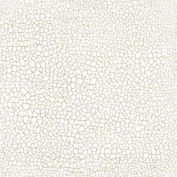 cracked seamless pattern vector texture on white background