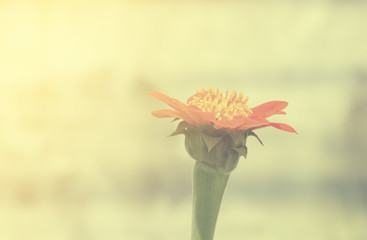 Vintage flower