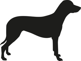 Dalmatian silhouette
