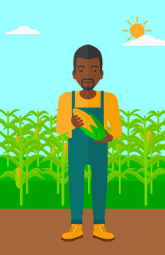Farmer holding corn.
