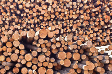 Closeup of pile of cut logs