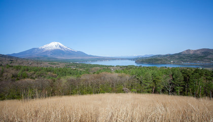 Mountain Fuji and lake yamanakako in spring season