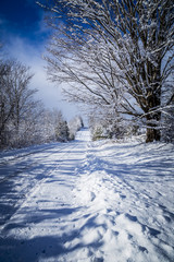 Early Winter Season Landscape Scene on Sunny Day after Fresh Sno