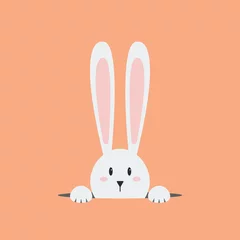 Door stickers Illustrations White easter rabbit