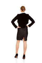 Back view of elegant businsess woman