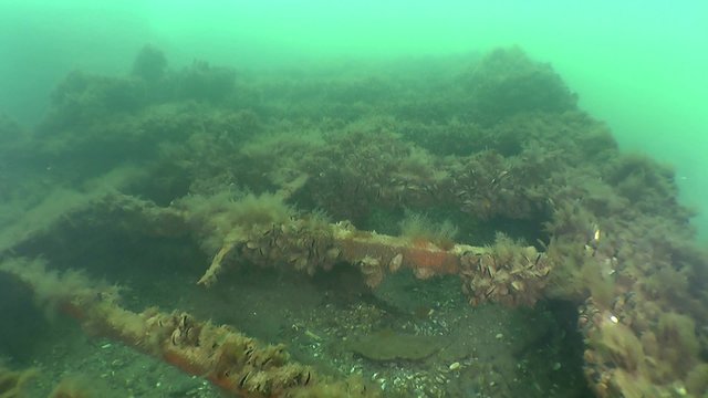 Camera movement over the deck of the wreck overgrown with algae.
