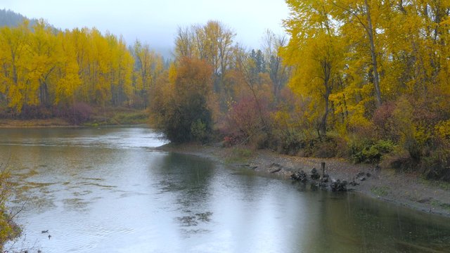 River bank in the mist, autumn forest on the riverside, beautiful trees on a background of mountains