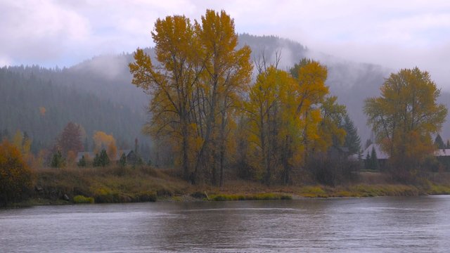 River bank in the mist, autumn forest on the riverside, beautiful trees on a background of mountains. Under rain