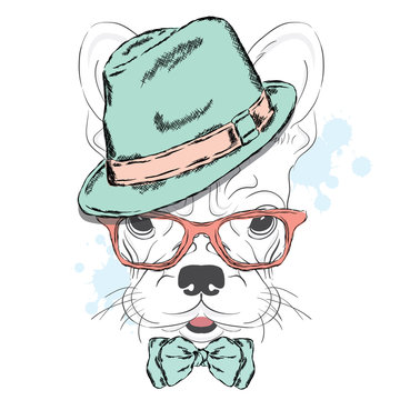 French Bulldog vector. Cartoon puppy. A dog in a hat and sunglasses. Cute puppy. Hipster. Boy. Pedigree dog.