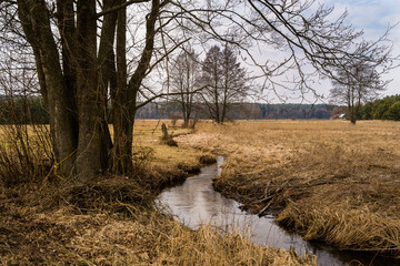 Strumyk © podlaski49