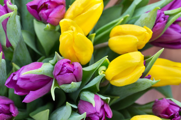 Purple and yellow tulip bouquet. More tulip on the grey backgrou