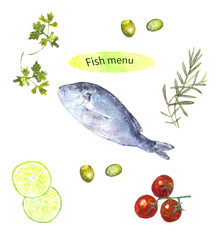 Fish menu. Fish with lime, spices and cherry.  Watercolor painting. Can be used for postcards, prints and design  