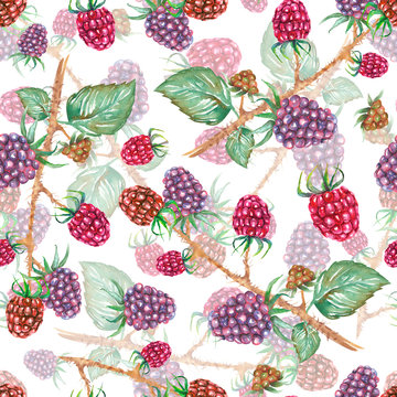 A seamless pattern with the blackberry branches, hand-drawn in a watercolor on a white background