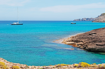 Mallorca, Isole Baleari, Spagna: la macchia mediterranea sul sentiero dalla spiaggia di Cala Torta alla spiaggia di Cala Mitjana, 6 giugno 2012