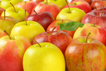 group of ripe apples
