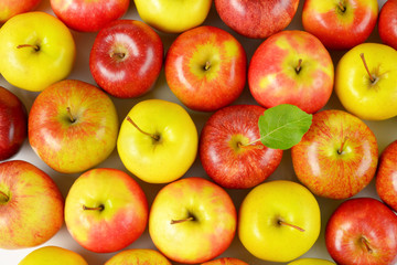 group of ripe apples