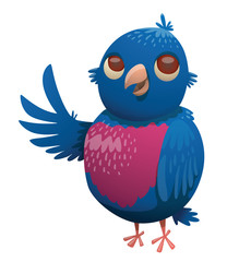 Vector cartoon image of a funny fantasy beautiful tropical plump bird with bright blue-purple feathers, small blue tail and a small beak standing on a white background. Vector illustration.