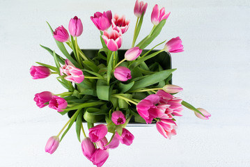 tulpenstrauß von oben