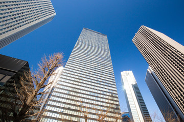 Fototapeta na wymiar 東京新宿の高層ビル群