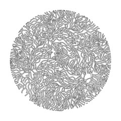 Coral  graphic circle background