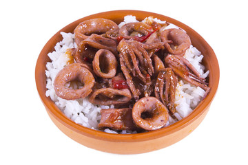 Stewed squid with rice isolated